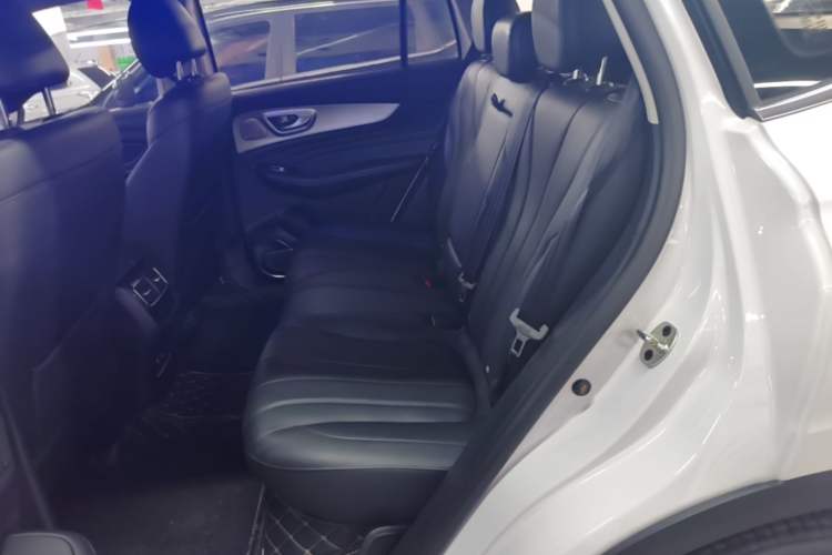 Used Roewe RX5 MAX 2019 300TGI Automatic Smart Cabin Luxury Edition Left Rear Seat