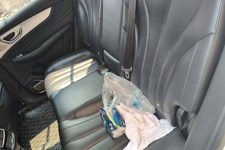 Used Roewe RX5 MAX 2019 300TGI Automatic Smart Cabin Flagship Edition Left Rear Seat