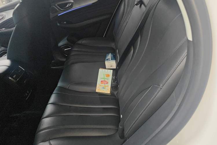Used Roewe RX5 MAX 2019 300TGI Automatic Smart Cabin Flagship Edition Left Rear Seat