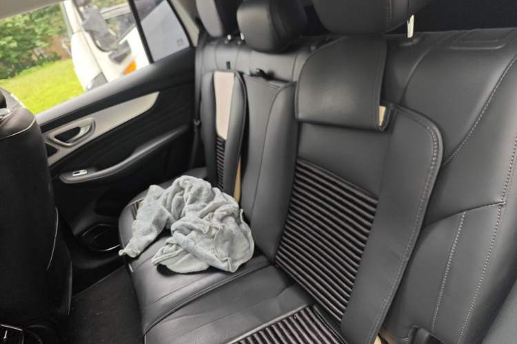 Used Roewe RX5 MAX 2019 300TGI Automatic Smart Cabin Luxury Edition Left Rear Seat