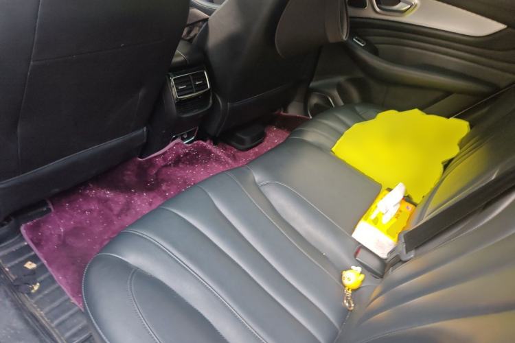 Used Roewe RX5 MAX 2019 300TGI Automatic 4G Connect Luxury Edition Left Rear Seat