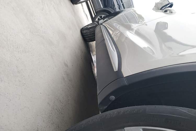Used Roewe RX5 MAX 2019 300TGI Automatic 4G Connect Luxury Edition Left Side Sill