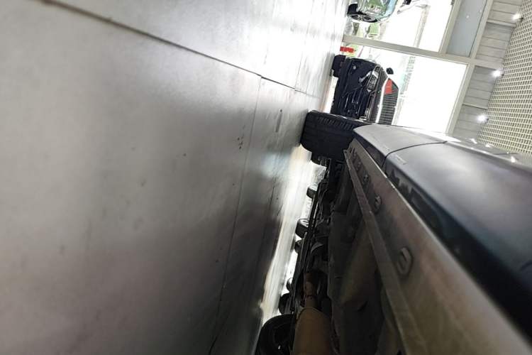 Used Roewe RX5 MAX 2019 300TGI Automatic Smart Cabin Luxury Edition Left Side Sill