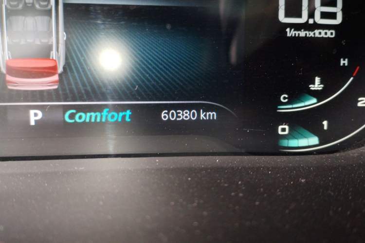 Used Roewe RX5 MAX 2019 300TGI Automatic Intelligent Driving Health Cabin Edition Odometer Close Up