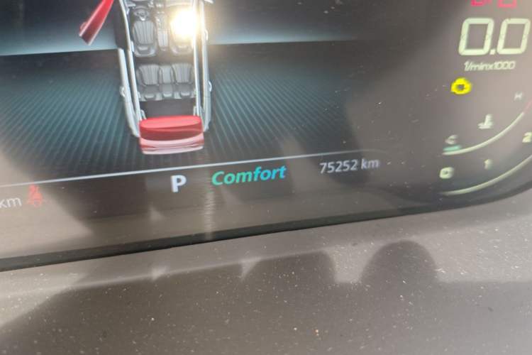 Used Roewe RX5 MAX 2019 300TGI Automatic 4G Connect Luxury Edition Odometer Close Up
