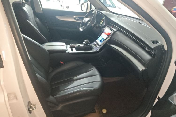 Used Roewe RX5 MAX 2019 300TGI Automatic Smart Cabin Luxury Edition Right Front Seat