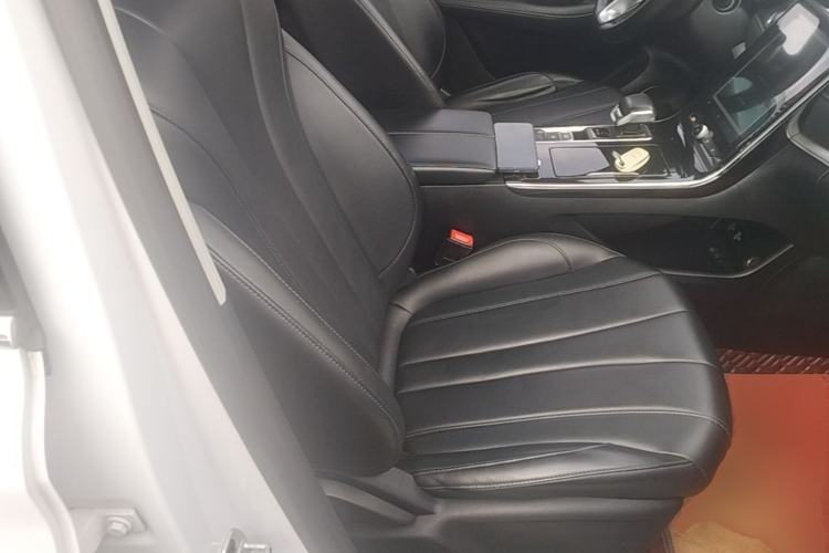 Used Roewe RX5 MAX 2019 300TGI Automatic 4G Connect Luxury Edition Right Front Seat