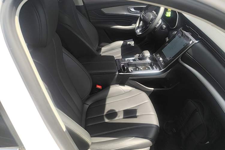 Used Roewe RX5 MAX 2019 300TGI Automatic 4G Connect Luxury Edition Right Front Seat