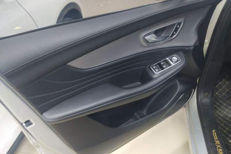 Used Roewe RX5 MAX 2019 300TGI Automatic 4G Connect Luxury Edition Left Front Door Interior