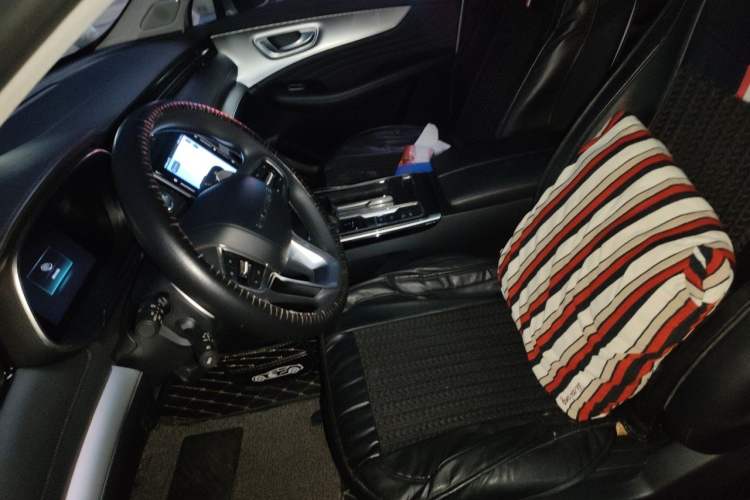 Used Roewe RX5 MAX 2019 300TGI Automatic 4G Connect Luxury Edition Left Front Seat