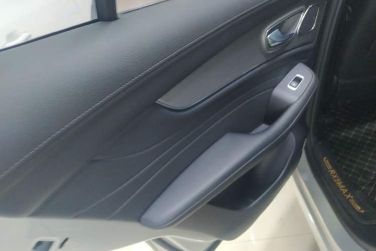Used Roewe RX5 MAX 2019 300TGI Automatic 4G Connect Luxury Edition Left Rear Door Interior