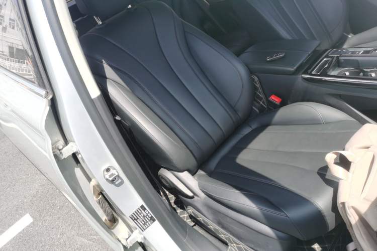 Used Roewe RX5 MAX 2019 300TGI Automatic 4G Connect Luxury Edition Right Front Seat