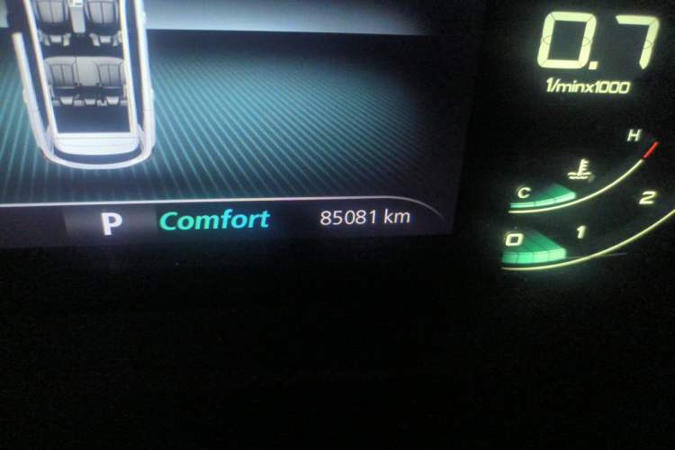 Used Roewe RX5 MAX 2021 Supreme Series 300TGI Automatic Luxury Cabin Edition Odometer Close Up
