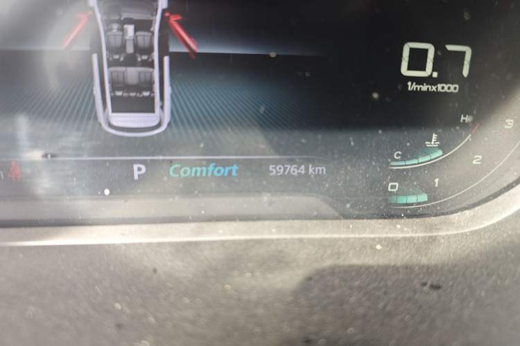Used Roewe RX5 MAX 2021 Supreme Series 300TGI Automatic Luxury Cabin Edition Odometer Close Up