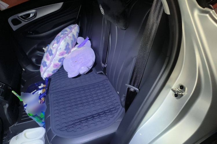 Used Roewe RX5 MAX 2021 Supreme Series 400TGI Automatic Luxury Cabin Edition Left Rear Seat