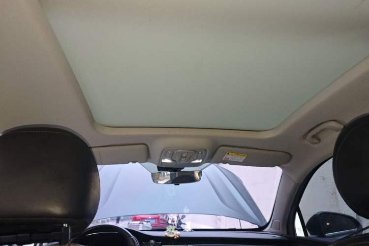 Used Roewe RX5 MAX 2021 Supreme Series 300TGI Automatic Smart Cabin Edition Headliner