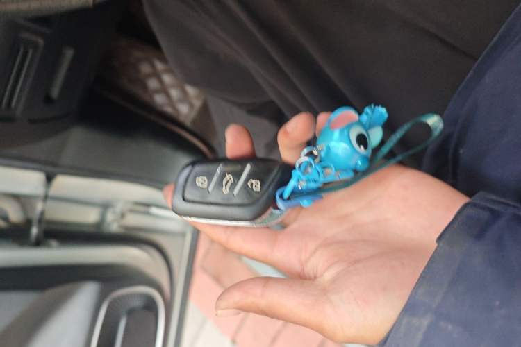 Used Roewe RX5 MAX 2021 Supreme Series 300TGI Automatic Smart Cabin Edition Vehicle Key