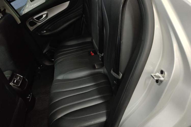 Used Roewe RX5 MAX 2021 Supreme Series 400TGI Automatic Luxury Cabin Edition Left Rear Seat