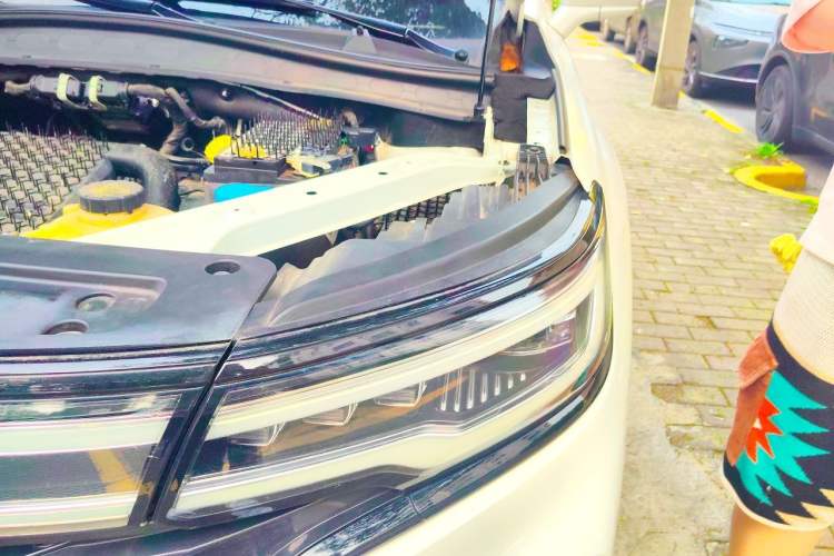 Used Roewe RX5 MAX 2021 Supreme Series 300TGI Automatic Luxury Cabin Edition Engine Bay Left