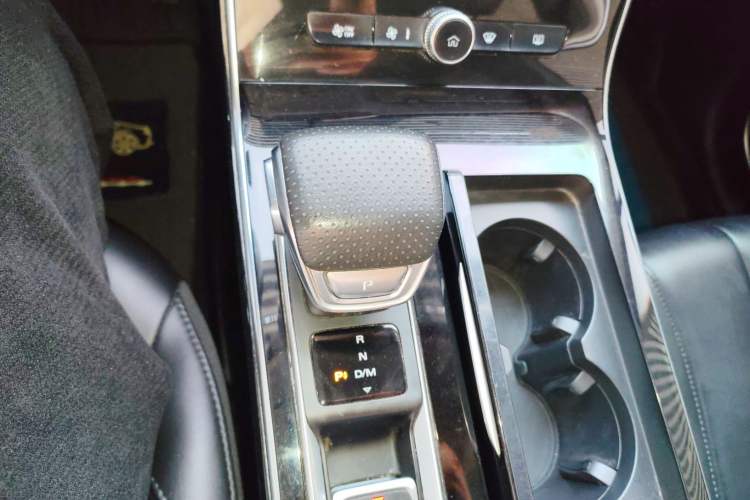 Used Roewe RX5 MAX 2021 Supreme Series 300TGI Automatic Luxury Cabin Edition Gear Lever
