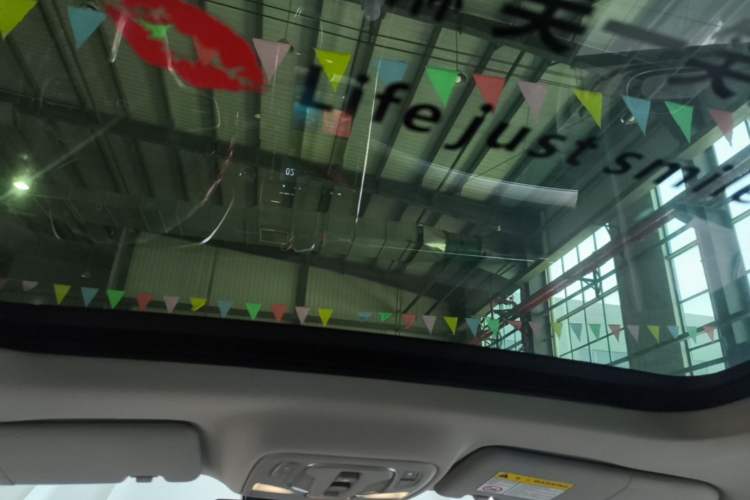 Used Roewe RX5 MAX 2021 Supreme Series 400TGI Automatic Smart Cabin Prestige Edition Headliner