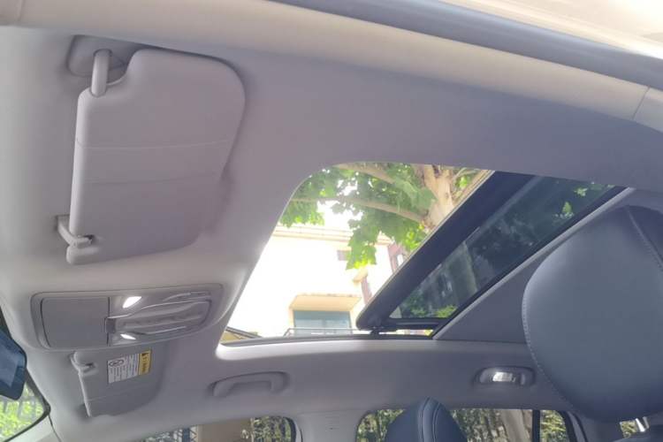 Used Roewe RX5 MAX 2021 Supreme Series 400TGI Automatic Luxury Cabin Edition Headliner
