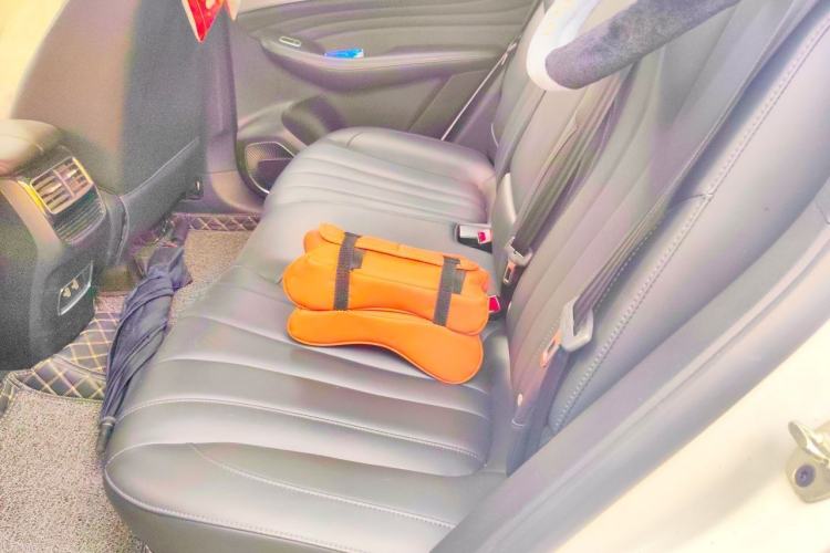 Used Roewe RX5 MAX 2021 Supreme Series 300TGI Automatic Luxury Cabin Edition Left Rear Seat