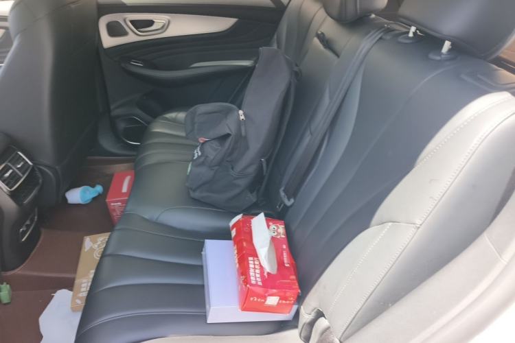 Used Roewe RX5 MAX 2021 Supreme Series 300TGI Automatic Luxury Cabin Edition Left Rear Seat