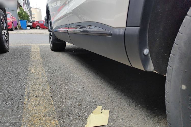 Used Roewe RX5 MAX 2021 Supreme Series 300TGI Automatic Luxury Cabin Edition Left Side Sill