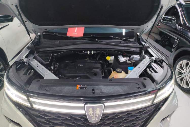 Used Roewe RX5 MAX 2021 Supreme Series 300TGI Automatic Luxury Cabin Edition Engine Bay