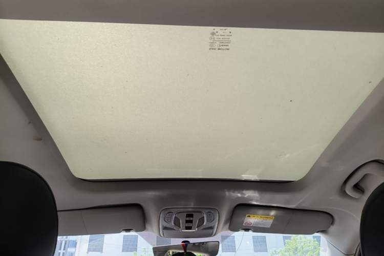 Used Roewe RX5 MAX 2021 Supreme Series 300TGI Automatic Luxury Cabin Edition Headliner