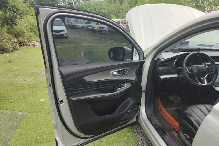 Used Roewe RX5 MAX 2021 Supreme Series 300TGI Automatic Luxury Cabin Edition Left Front Door Interior
