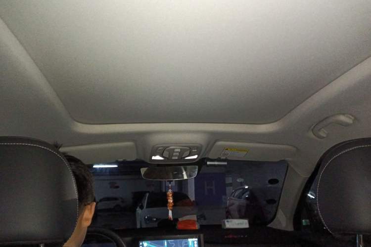 Used Roewe RX5 MAX 2022 1.5T Automatic Zhiwei Prestige Edition Headliner