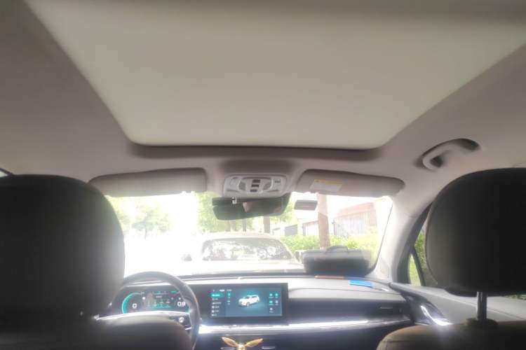 Used Roewe RX5 MAX 2022 1.5T Automatic Zhiwei Prestige Edition Headliner