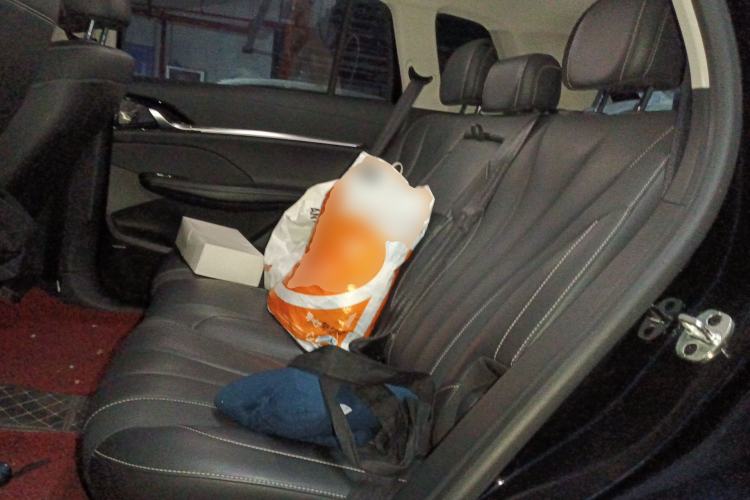 Used Roewe RX5 MAX 2022 1.5T Automatic Zhiwei Prestige Edition Left Rear Seat
