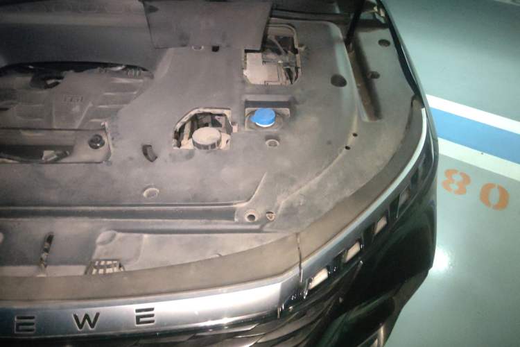 Used Roewe RX5 MAX 2022 1.5T Automatic Zhiwei Prestige Edition Engine Bay Left