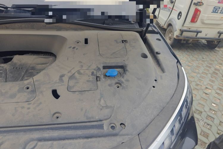 Used Roewe RX5 MAX 2022 1.5T Automatic Zhiwei Prestige Edition Engine Bay Left