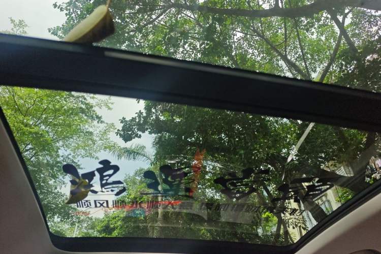 Used Roewe RX5 MAX 2022 1.5T Automatic Youwei Luxury Edition Headliner
