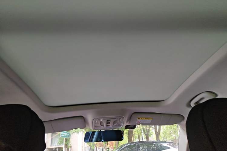 Used Roewe RX5 MAX 2022 1.5T Automatic Youwei Luxury Edition Headliner
