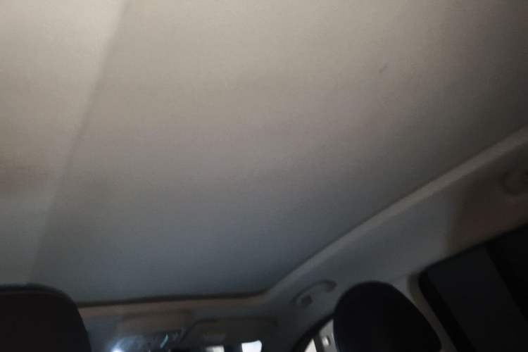 Used Roewe RX5 MAX 2022 1.5T Automatic Zhiwei Prestige Edition Headliner