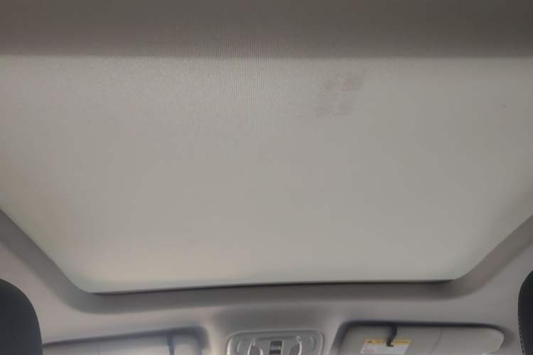 Used Roewe RX5 MAX 2022 1.5T Automatic Youwei Luxury Edition Headliner
