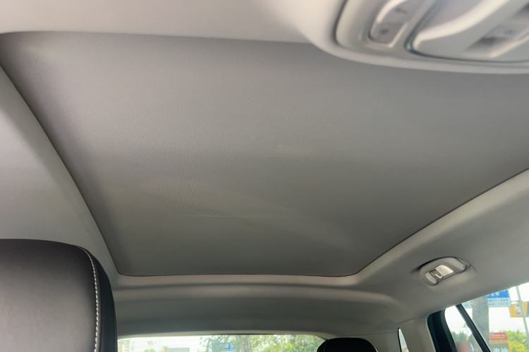 Used Roewe RX5 MAX 2022 1.5T Automatic Zhiwei Prestige Edition Headliner