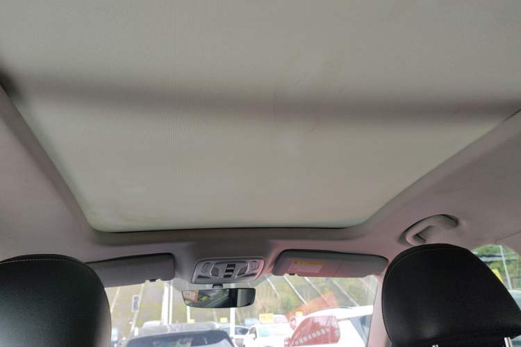 Used Roewe RX5 MAX 2022 1.5T Automatic Youwei Luxury Edition Headliner