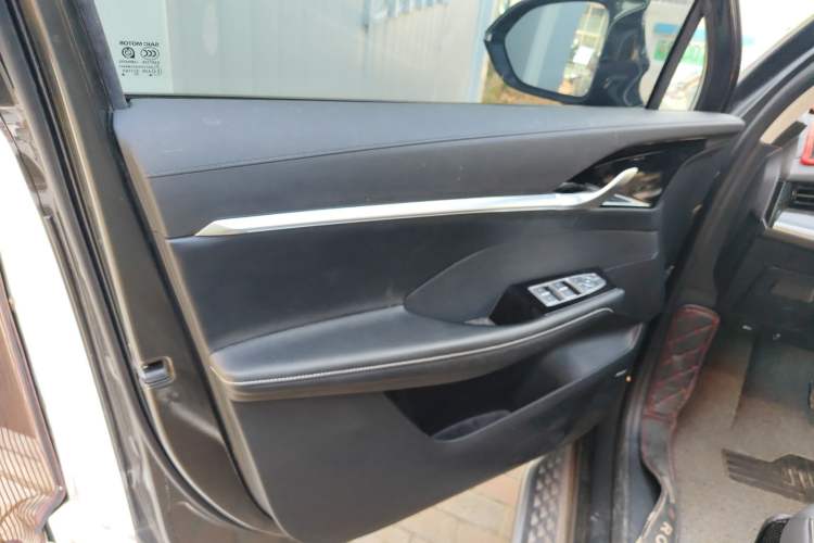 Used Roewe RX5 MAX 2022 2.0T Automatic Zhiwei Zunrong Edition Left Front Door Interior
