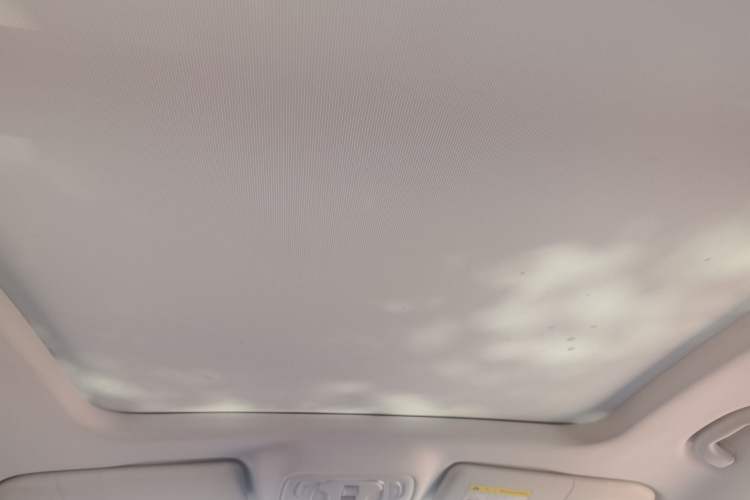 Used Roewe RX5 MAX 2022 1.5T Automatic Zhiwei Prestige Edition Headliner