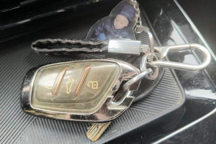 Used Roewe RX5 MAX 2022 1.5T Automatic Zhiwei Prestige Edition Vehicle Key