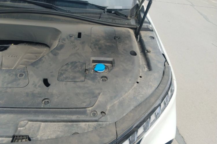 Used Roewe RX5 MAX 2022 1.5T Automatic Youwei Luxury Edition Engine Bay Left