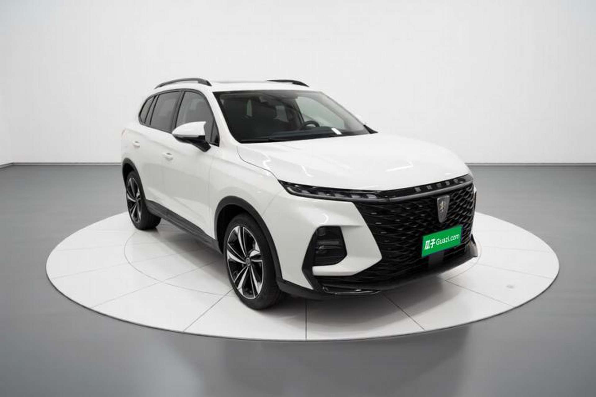 Used Roewe RX5 MAX 2022 1.5T Automatic Youwei Luxury Edition Exterior 1
