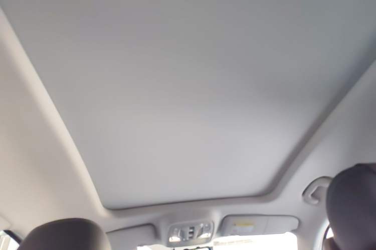 Used Roewe RX5 MAX 2022 1.5T Automatic Youwei Luxury Edition Headliner
