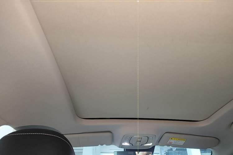 Used Roewe RX5 MAX 2022 1.5T Automatic Zhiwei Prestige Edition Headliner